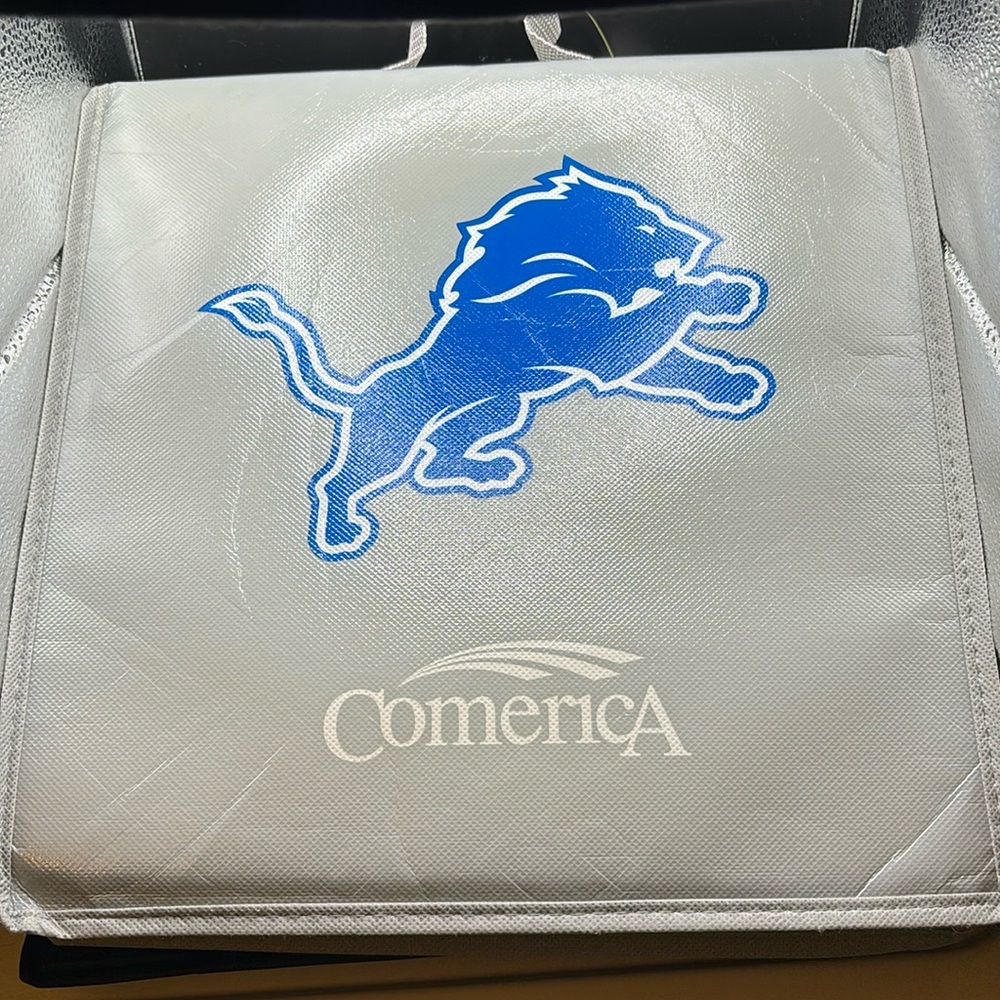Detroit Lions stadium soft seat.